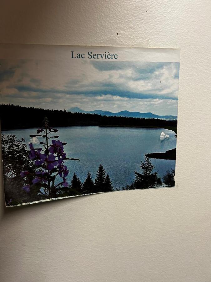 Super-Besse Residence Le Lac Bleu Serviere Chez Lorenzo Et Severine Bagian luar foto